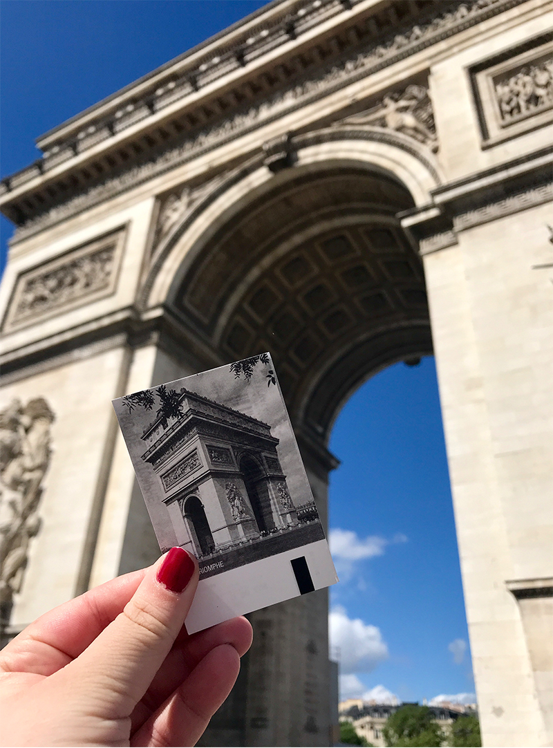2014 Photo Contest 1st Place - Siobhan O'Donnell The Pride of France - Alyssa Roderick